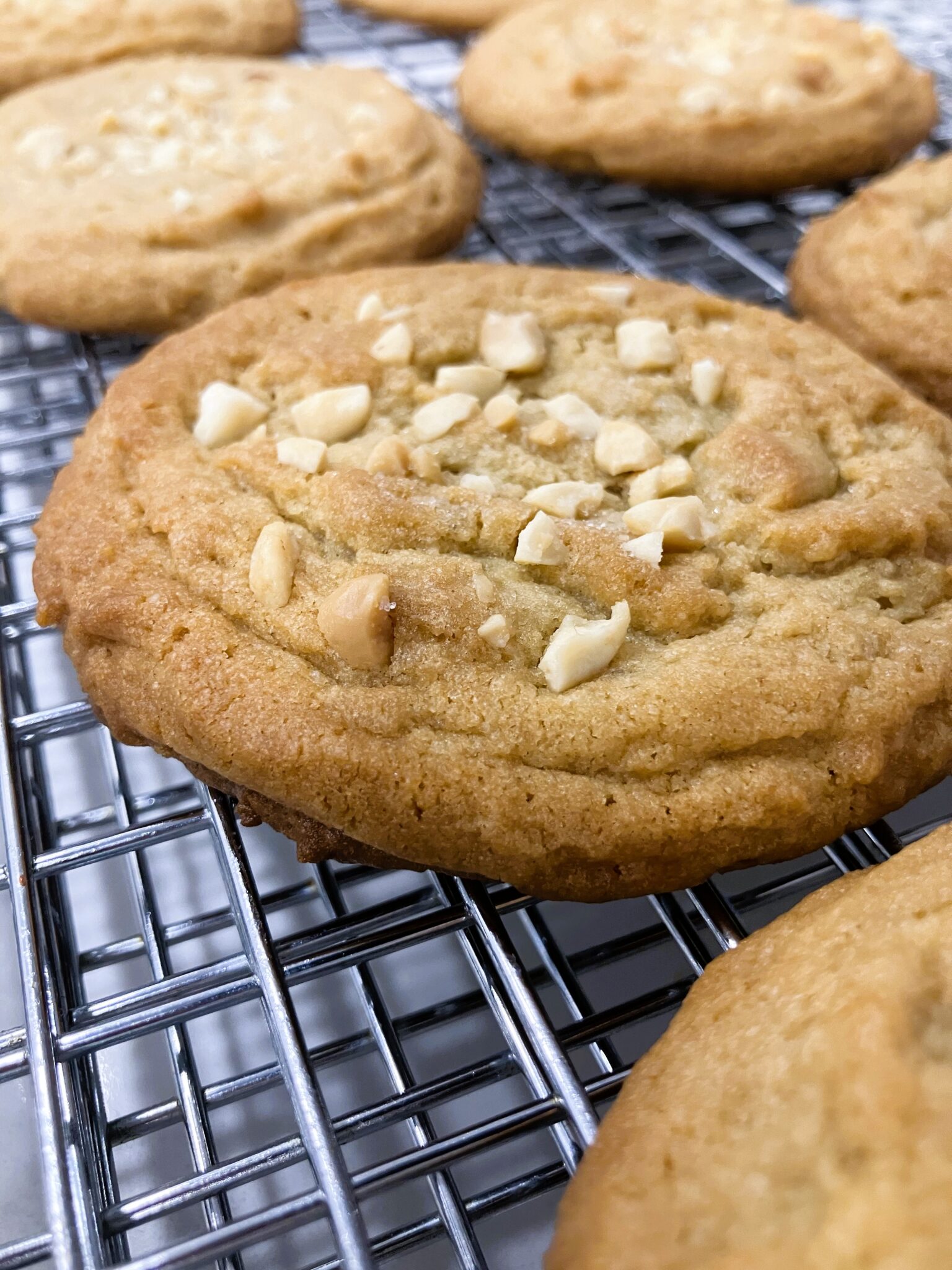 Soft and Chewy Peanut Butter Cookies – Caked By Jules